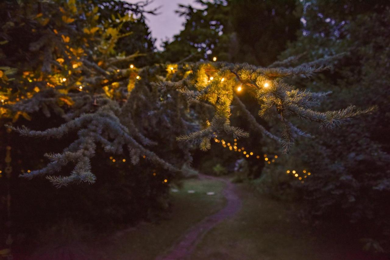 Ward Avenue B&B カウズ エクステリア 写真